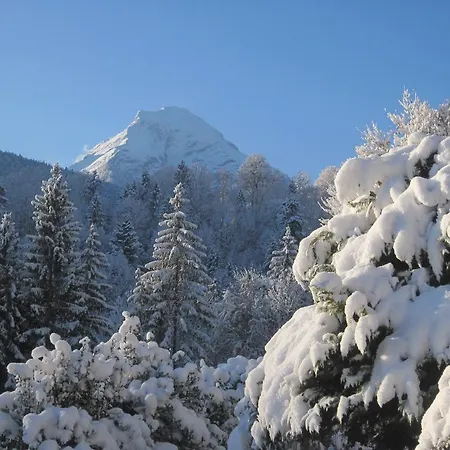 Haus Alpengluehn Apartmán Engedey