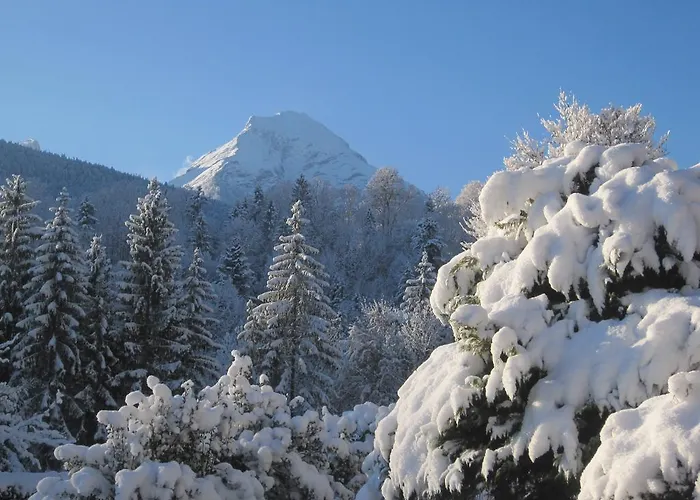 Haus Alpengluehn Apartmán Engedey